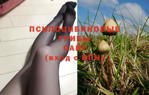 мескалин Ельня