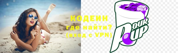 хмурый Елизово