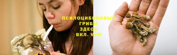бошки Заводоуковск