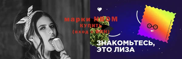 прущие грибы Зерноград