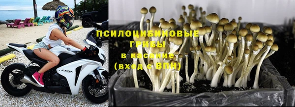 стафф Зеленокумск
