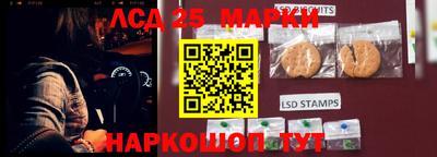 прущие грибы Кингисепп