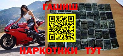 прущие грибы Кингисепп