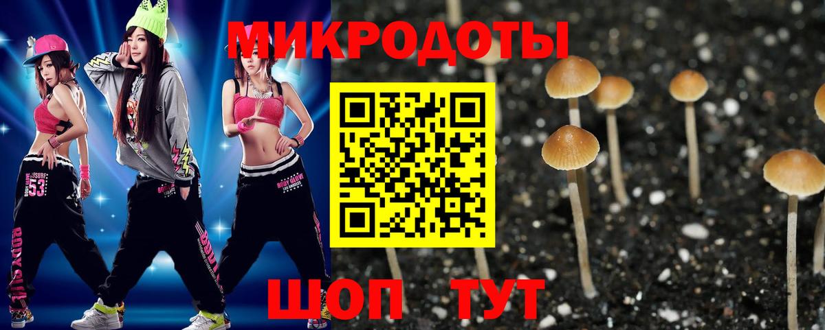 Галлюциногенные грибы Magic Shrooms  Вход с VPN  Мценск  Галлюциногенные грибы MAGIC MUSHROOMS 